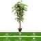 5FT Artificial Wicker Tree in Planter Pot for Indoor Outdoor Decor